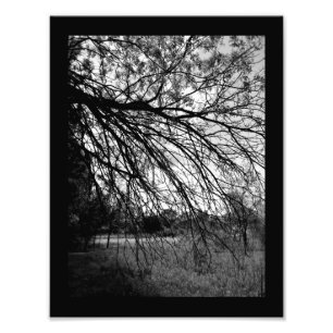Naturkunst Fotodruck