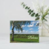 Naturlandschaft Birch Belarus Postkarte (Stehend Vorderseite)
