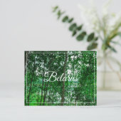 Naturlandschaft Birch Belarus Postkarte (Stehend Vorderseite)