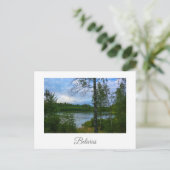 Naturlandschaft Birch Belarus Postkarte (Stehend Vorderseite)