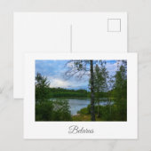 Naturlandschaft Birch Belarus Postkarte (Vorne/Hinten)