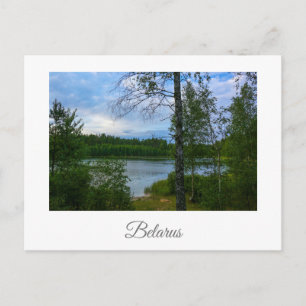 Naturlandschaft Birch Belarus Postkarte
