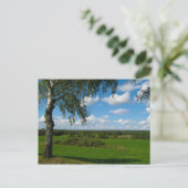 Naturlandschaft Birch Belarus Postkarte (Stehend Vorderseite)