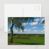 Naturlandschaft Birch Belarus Postkarte (Vorne/Hinten)