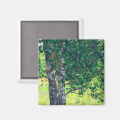 Naturlandschaft Birkenbaum Magnet (Vorderseite/Rückseite)