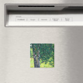 Naturlandschaft Birkenbaum Magnet (In Situ (Geschirrspüler))