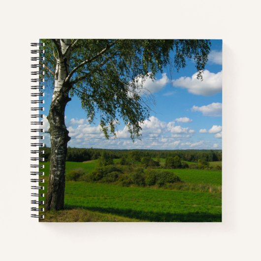 Naturlandschaft Birkenbäume Belarus Notizblock (Vorderseite)