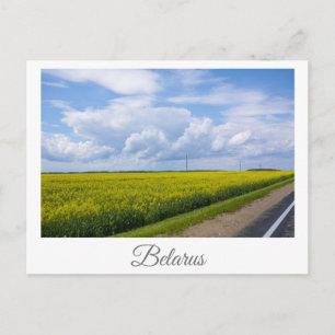 Naturlandschaft Canola Field Ländliche Belarus Pos Postkarte
