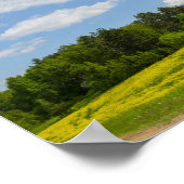 Naturlandschaft Canola Field Ländliche Belarus Poster (Ecke)