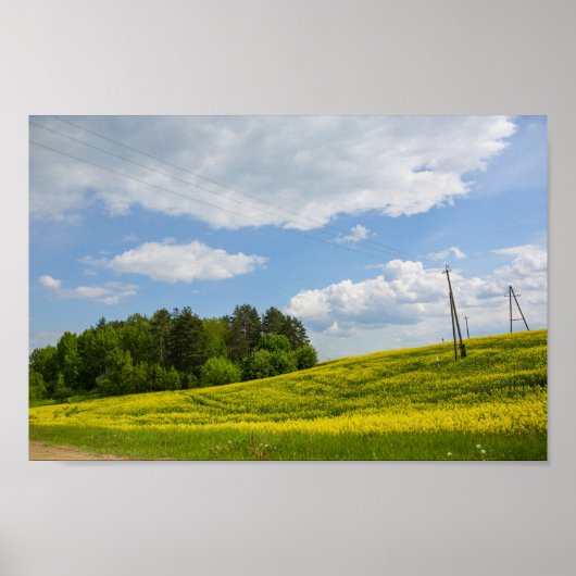 Naturlandschaft Canola Field Ländliche Belarus Poster (Vorne)