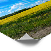 Naturlandschaft Canola Field Ländliche Belarus Poster (Ecke)