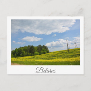 Naturlandschaft Canola Field Ländliche Belarus Postkarte