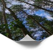 Naturlandschaft erforschen Forest Belarus Poster (Ecke)