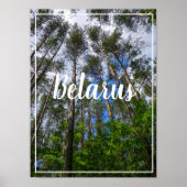 Naturlandschaft erforschen Forest Belarus Poster (Vorne)