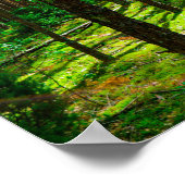 Naturlandschaft erforschen Forest Belarus Poster (Ecke)