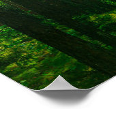 Naturlandschaft erforschen Forest Belarus Poster (Ecke)