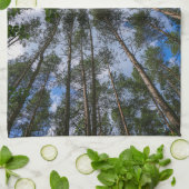 Naturlandschaft erforschen Waldbäume Geschirrtuch (Gefaltet)