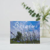 Naturlandschaft Feldmais Blume Postkarte (Stehend Vorderseite)
