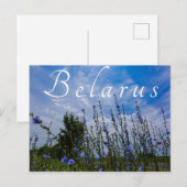 Naturlandschaft Feldmais Blume Postkarte (Vorne/Hinten)