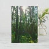 Naturlandschaft Forest Belarus Flachkarte (Stehend Vorderseite)