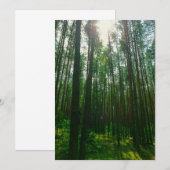Naturlandschaft Forest Belarus Flachkarte (Vorne/Hinten)