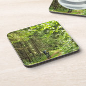 Naturlandschaft Forest Belarus Getränkeuntersetzer (Linke Seite)