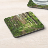 Naturlandschaft Forest Belarus Getränkeuntersetzer (Linke Seite)