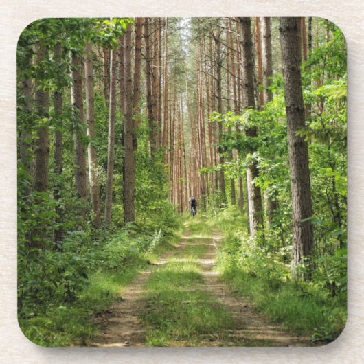 Naturlandschaft Forest Belarus Getränkeuntersetzer (Vorderseite)