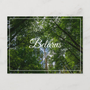 Naturlandschaft Forest Belarus Postkarte
