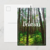 Naturlandschaft Forest Belarus Postkarte (Vorne/Hinten)