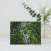 Naturlandschaft Forest Belarus Postkarte (Stehend Vorderseite)