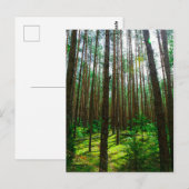 Naturlandschaft Forest Belarus Postkarte (Vorne/Hinten)