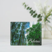 Naturlandschaft Forest Belarus Postkarte (Stehend Vorderseite)