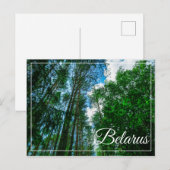 Naturlandschaft Forest Belarus Postkarte (Vorne/Hinten)