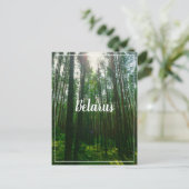 Naturlandschaft Forest Belarus Postkarte (Stehend Vorderseite)