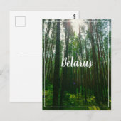 Naturlandschaft Forest Belarus Postkarte (Vorne/Hinten)