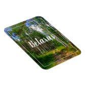 Naturlandschaft Forest Birch Weißrussland Magnet (Rechte Seite)