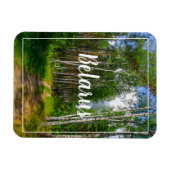 Naturlandschaft Forest Birch Weißrussland Magnet (Horizontal)