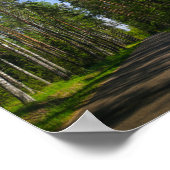 Naturlandschaft Forest Birch Weißrussland Poster (Ecke)