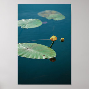 Naturlandschaft Gelber See Lily River Poster
