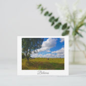 Naturlandschaft Landschaft Birch Tree Belarus Postkarte (Stehend Vorderseite)