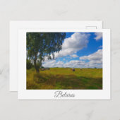 Naturlandschaft Landschaft Birch Tree Belarus Postkarte (Vorne/Hinten)