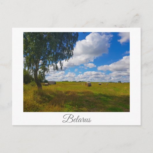 Naturlandschaft Landschaft Birch Tree Belarus Postkarte (Vorderseite)