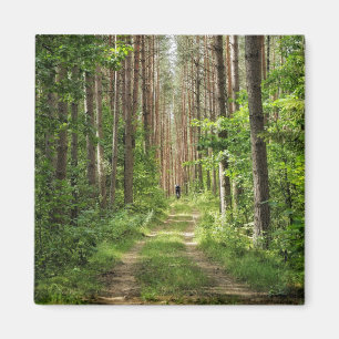 Naturlandschaft Landschaft Wälder Bäume Weißrussla Magnet