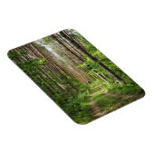 Naturlandschaft Landschaft Wälder Bäume Weißrussla Magnet (Rechte Seite)