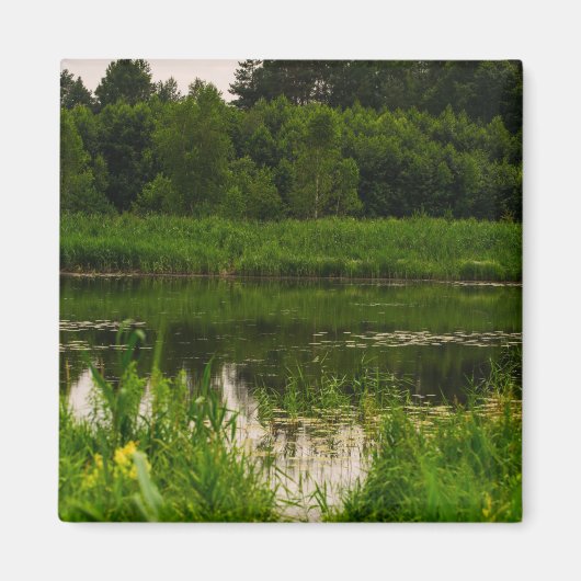 Naturlandschaft Landschaftslandschaft Waldteich Magnet (Vorne)