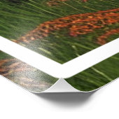 Naturlandschaft mit See und Hütte Fotodruck (Ecke)