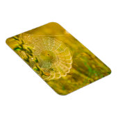 Naturlandschaft Spider Spiderweb Sonnenlicht Magnet (Rechte Seite)