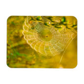 Naturlandschaft Spider Spiderweb Sonnenlicht Magnet (Horizontal)