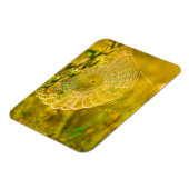 Naturlandschaft Spider Spiderweb Sonnenlicht Magnet (Linke Seite)